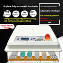 Fully Automatic Home Intelligent Incubator