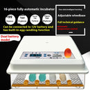 Fully Automatic Home Intelligent Incubator